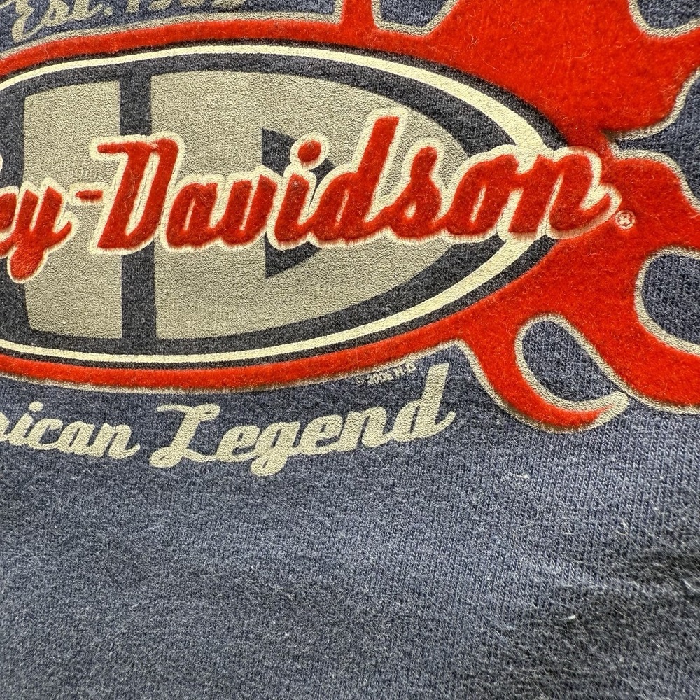 Harley Davidson T-Shirt Medium Reno Nevada Flames 2004 VTG Y2K Biker - Picture 6 of 13